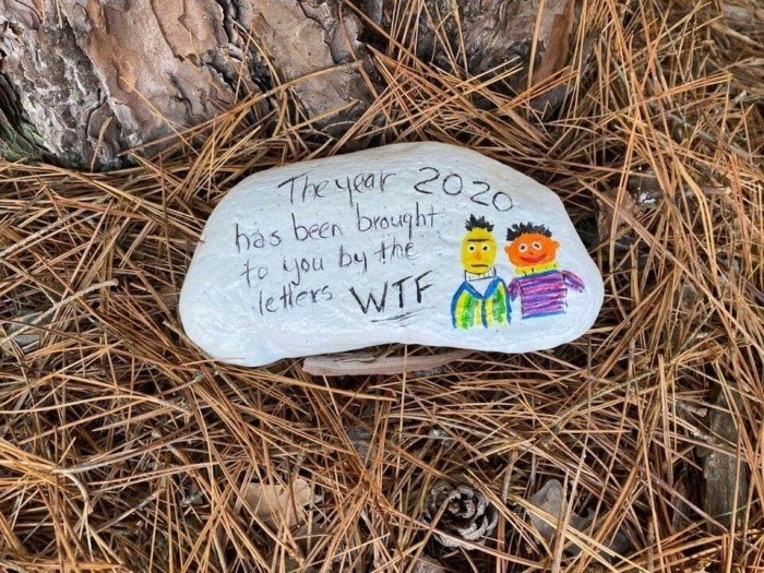 Interesting Finds In The Forests (15 pics)