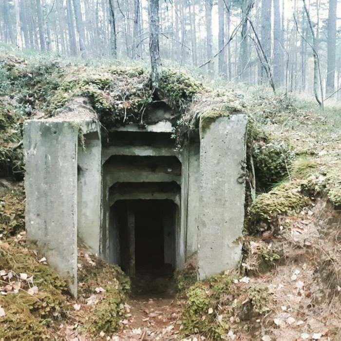 Interesting Finds In The Forests (15 pics)