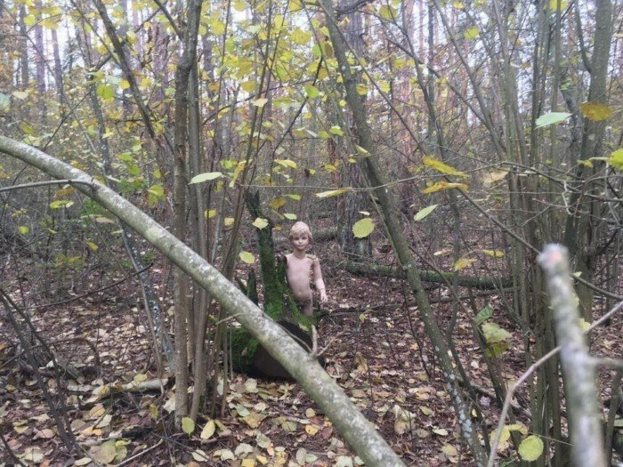 Interesting Finds In The Forests (15 pics)