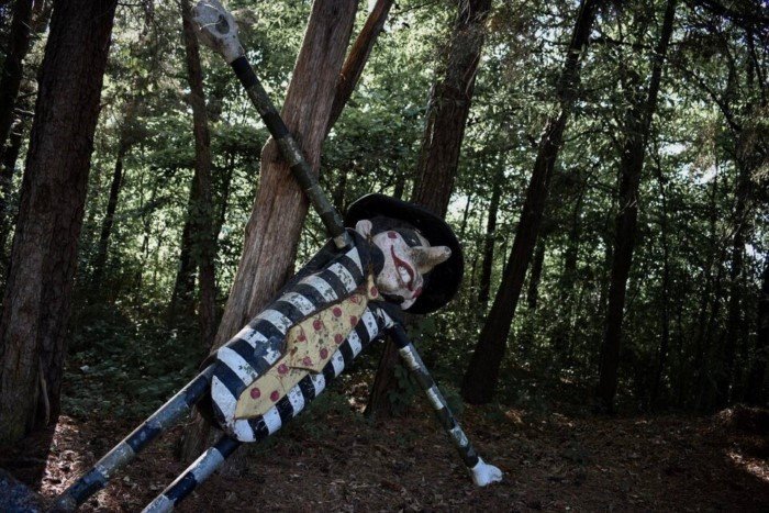 Interesting Finds In The Forests (15 pics)