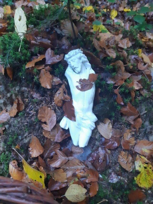 Interesting Finds In The Forests (15 pics)