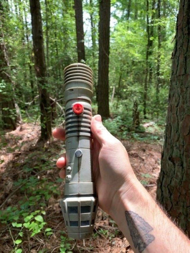 Interesting Finds In The Forests (15 pics)