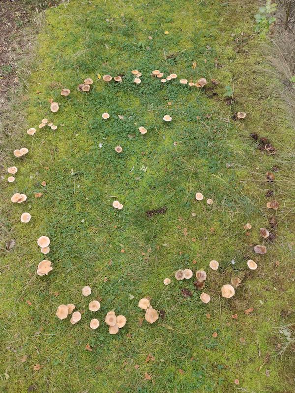 Interesting Finds (19 pics)