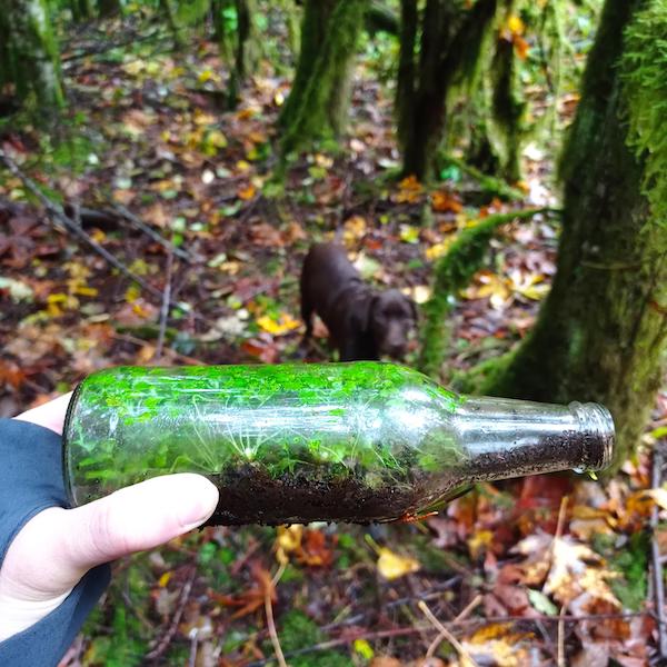Interesting Finds (19 pics)