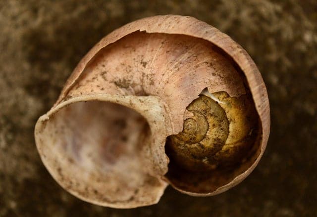 Interesting Finds (19 pics)