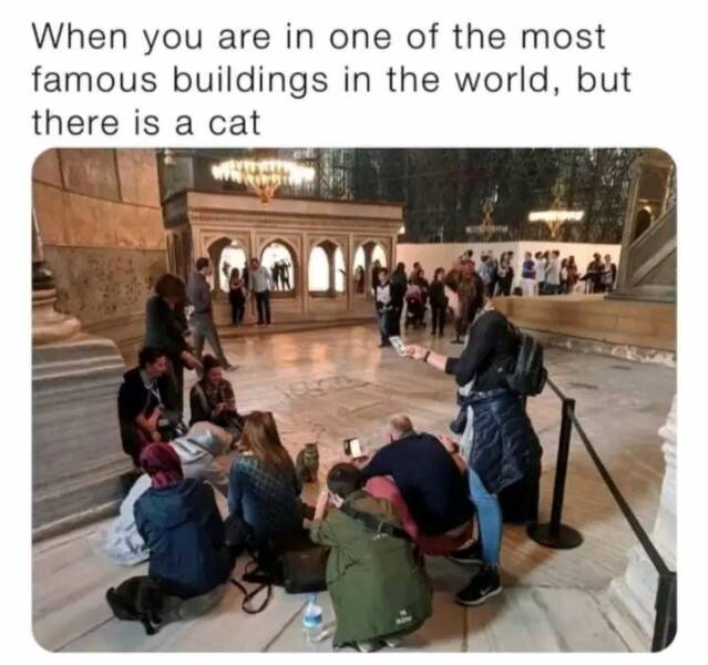 Daily Pictures. Part 2 (64 pics)