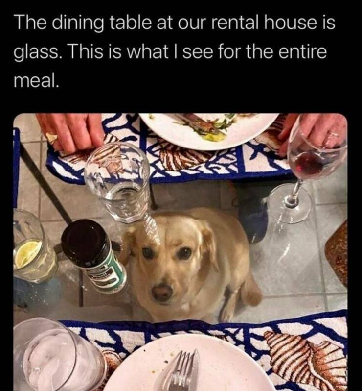 Daily Pictures. Part 2 (64 pics)