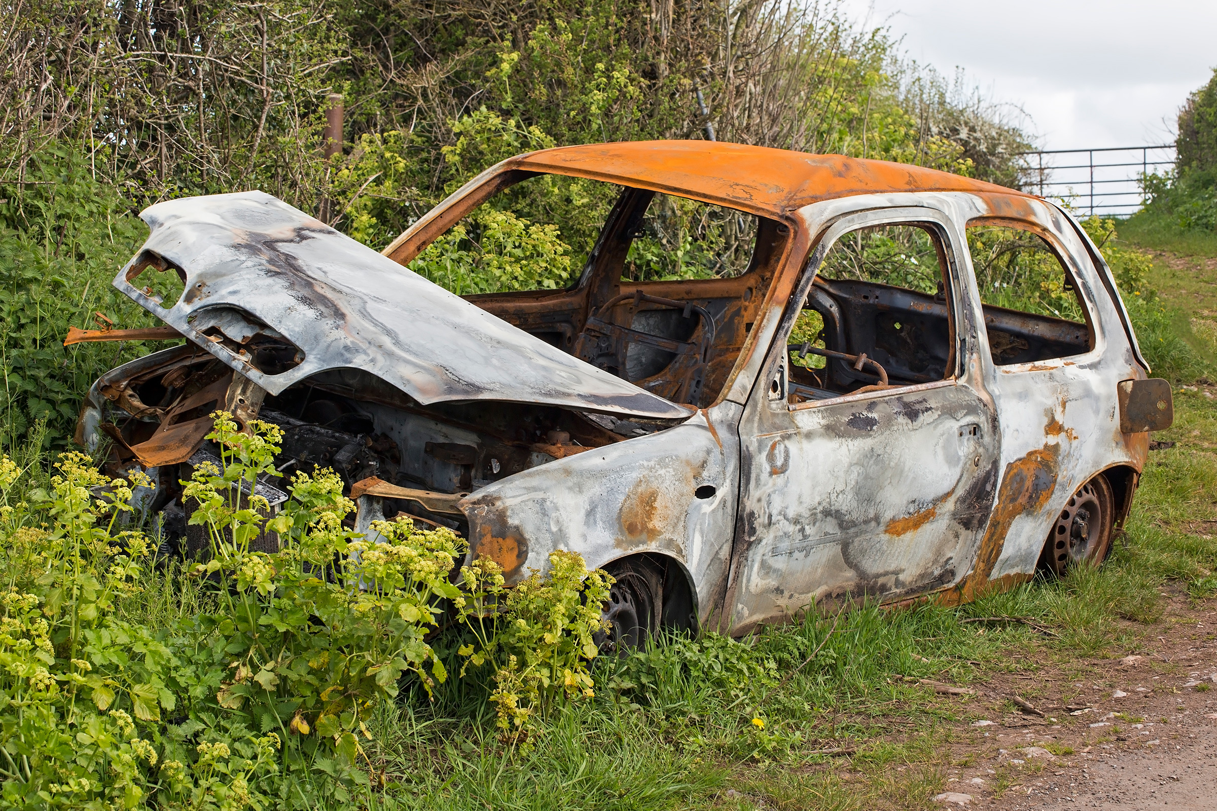 Awesome Abandoned Cars (20 pics)