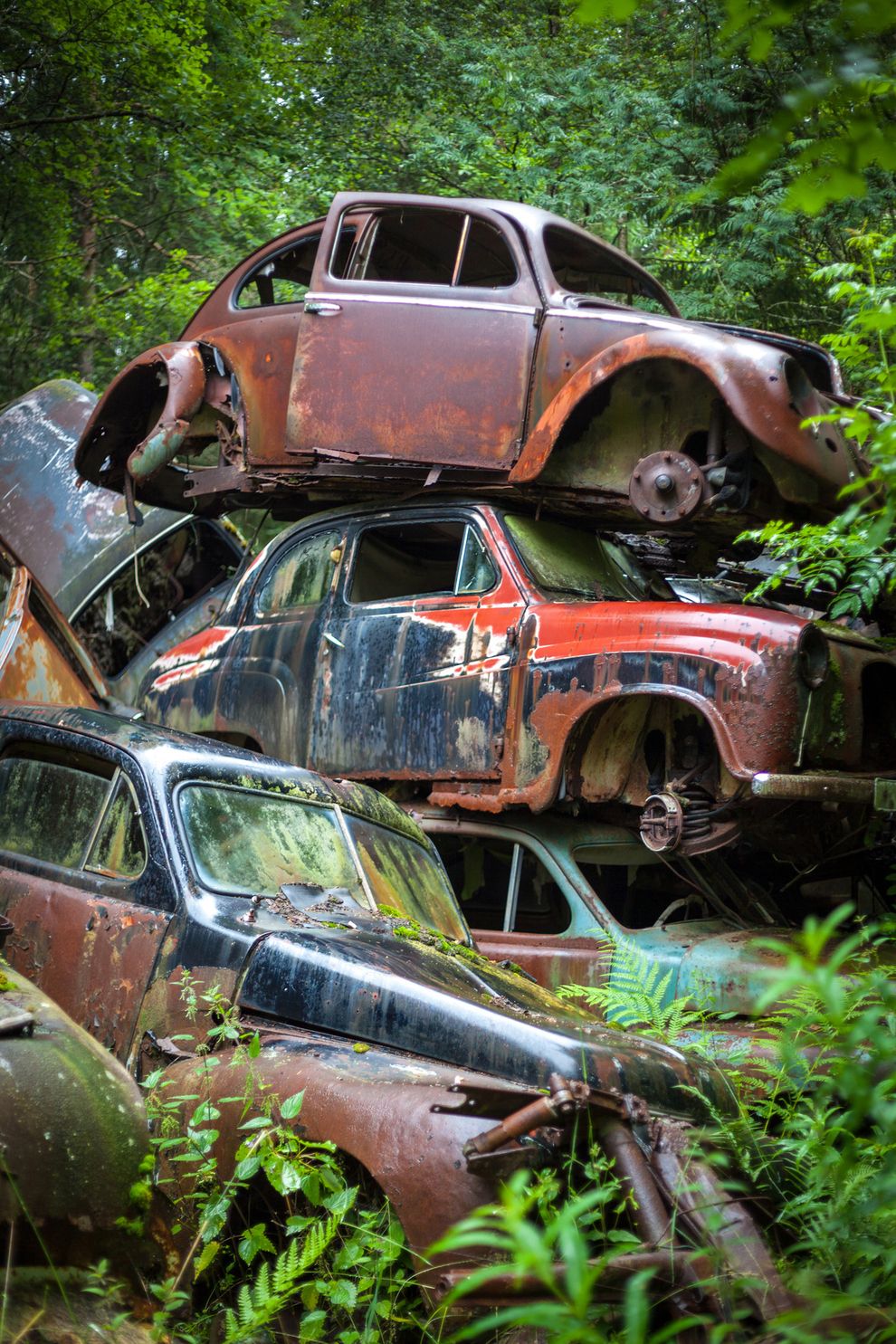 Awesome Abandoned Cars (20 pics)