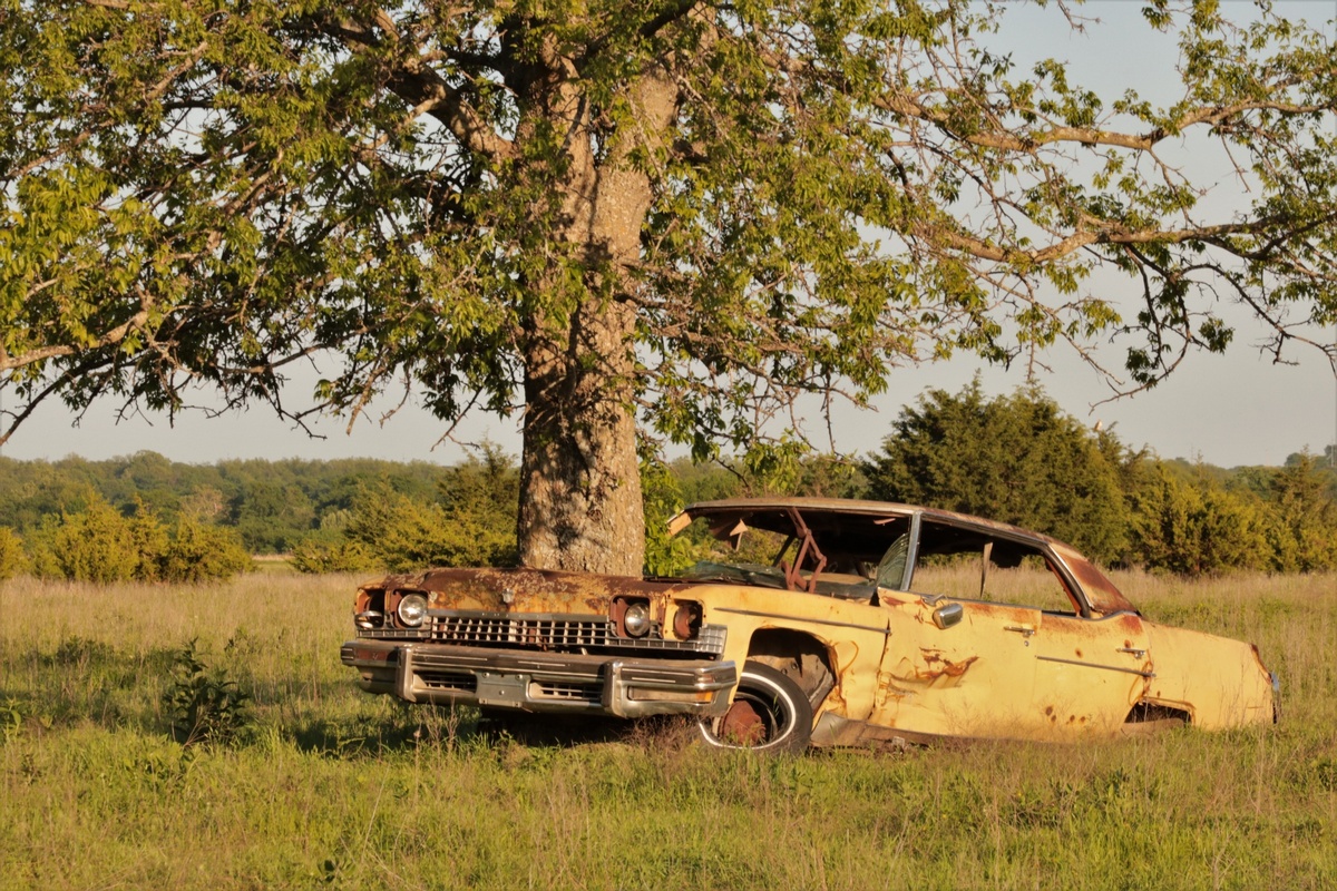 Awesome Abandoned Cars (20 pics)
