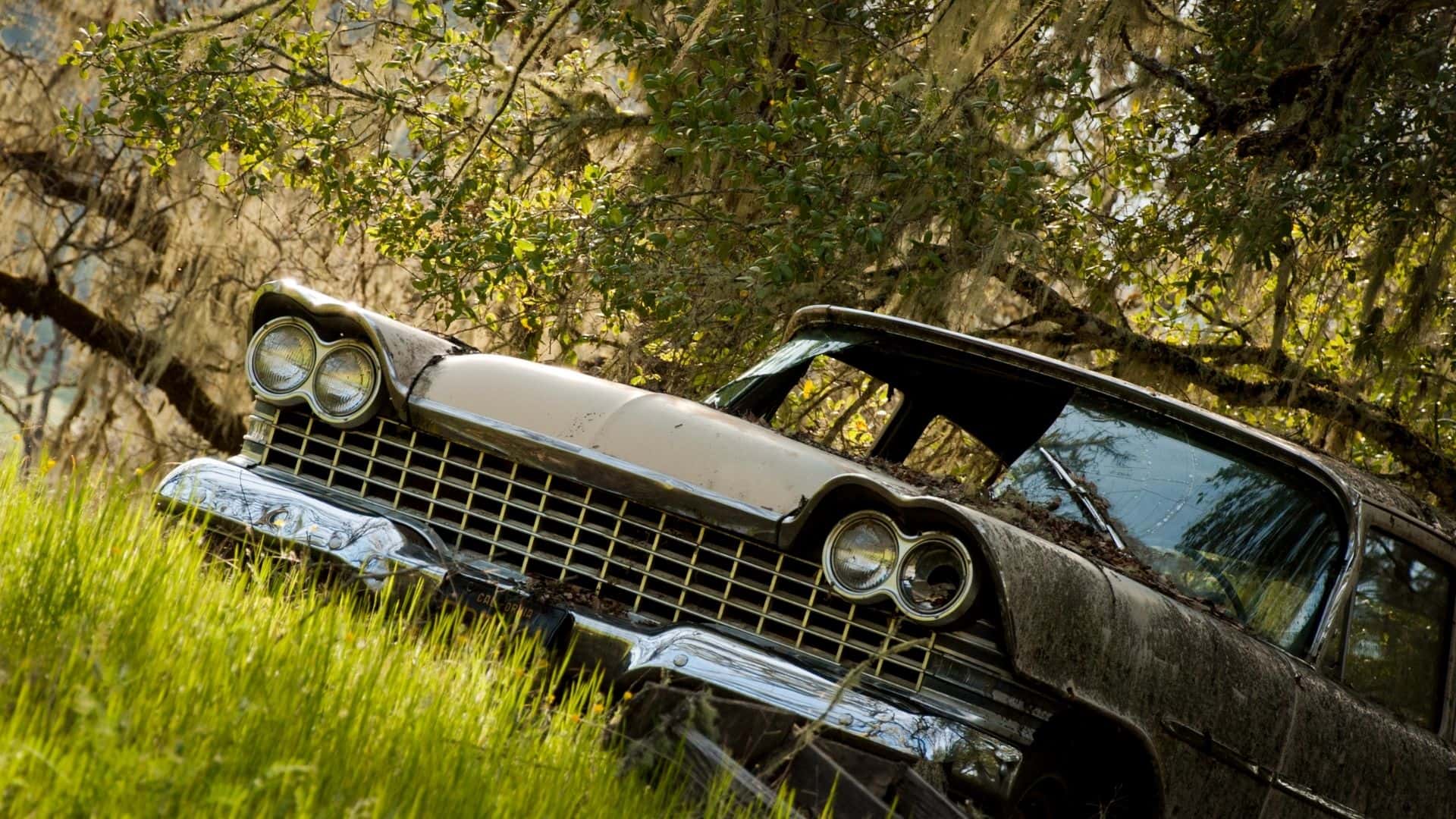 Awesome Abandoned Cars (20 pics)