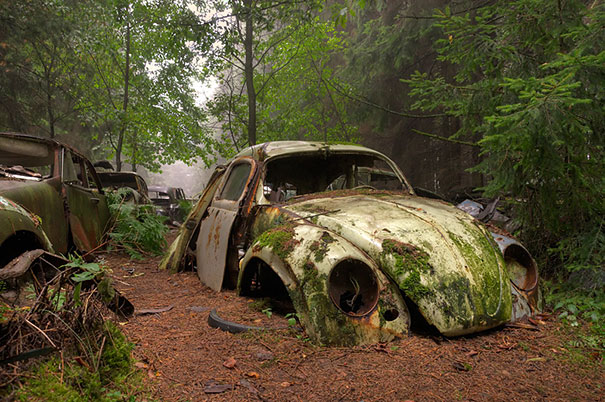 Awesome Abandoned Cars (20 pics)