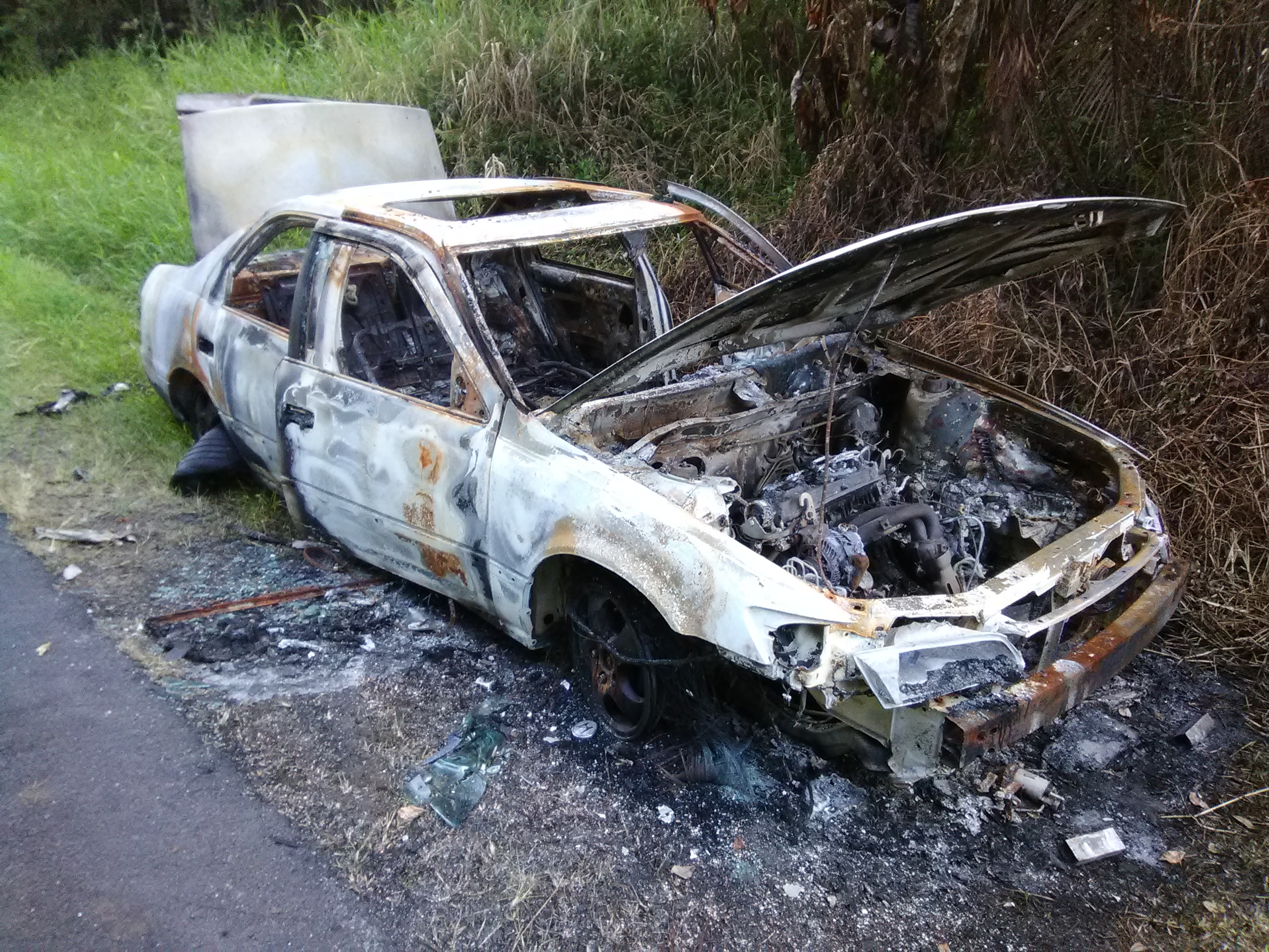 Awesome Abandoned Cars (20 pics)