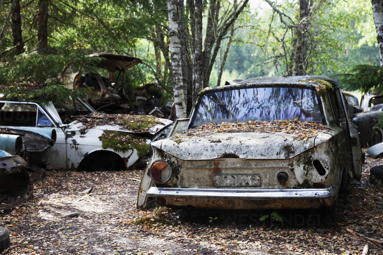 Awesome Abandoned Cars (20 pics)