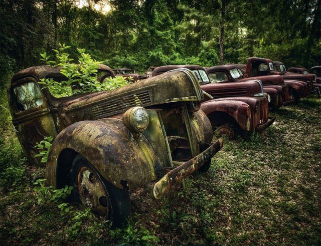 Awesome Abandoned Cars (20 pics)