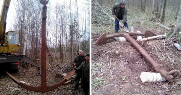 Unusual Finds In Forests (19 pics)