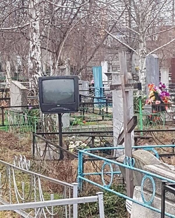 What Is Going On Here? (20 pics)