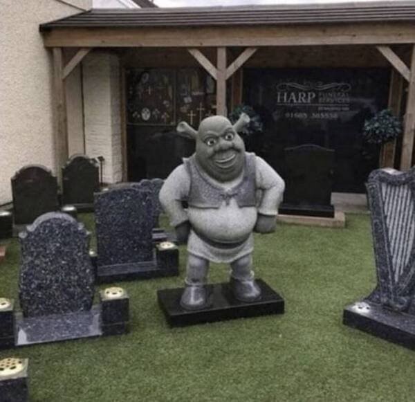 What Is Going On Here? (20 pics)