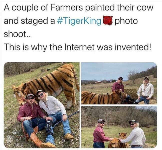 Daily Pictures. Part 2 (54 pics)