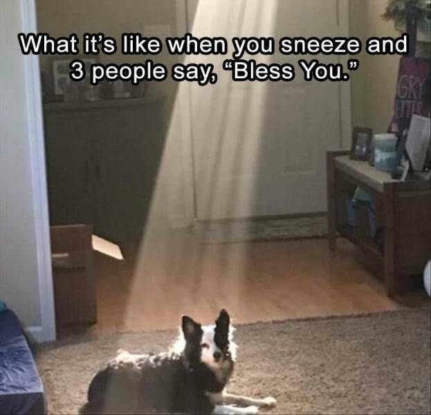 Daily Pictures. Part 2 (54 pics)