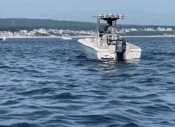 Acid GIFs, August 3 (25 gifs)