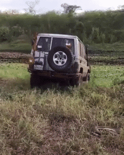 Acid GIFs, August 3 (25 gifs)