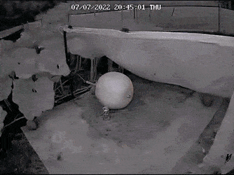 Acid GIFs, August 3 (25 gifs)