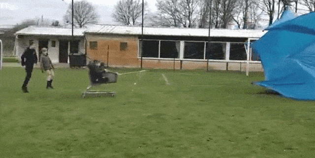 Acid GIFs, August 3 (25 gifs)