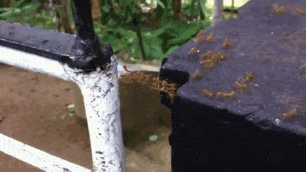 Acid GIFs, August 3 (25 gifs)