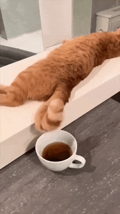 Acid GIFs, August 3 (25 gifs)