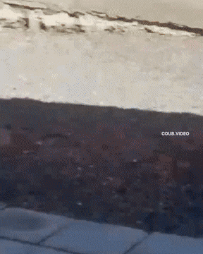 Acid GIFs, August 3 (25 gifs)