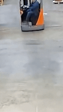 Acid GIFs, August 3 (25 gifs)