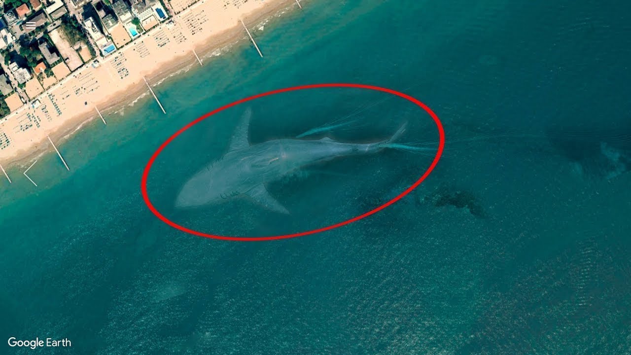 Unusual Finds On ''Google Earth'' (15 pics)