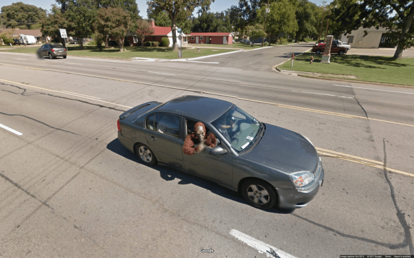 Unusual Finds On ''Google Earth'' (15 pics)