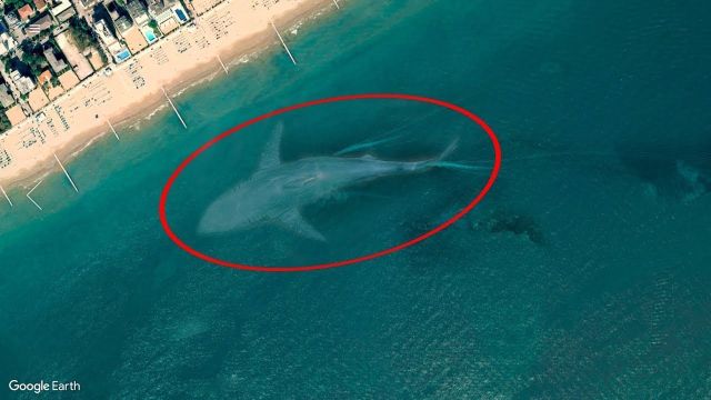 Unusual Finds On ''Google Earth'' (15 pics)