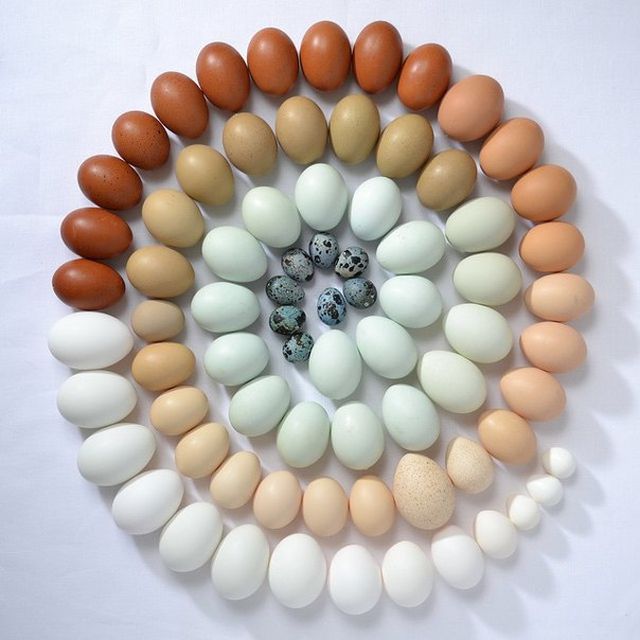 Photos For Perfectionists (20 pics)