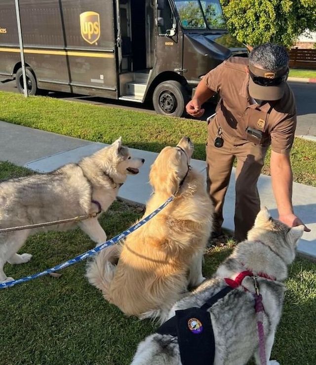 Funny Dogs And Delivery Drivers (25 pics)