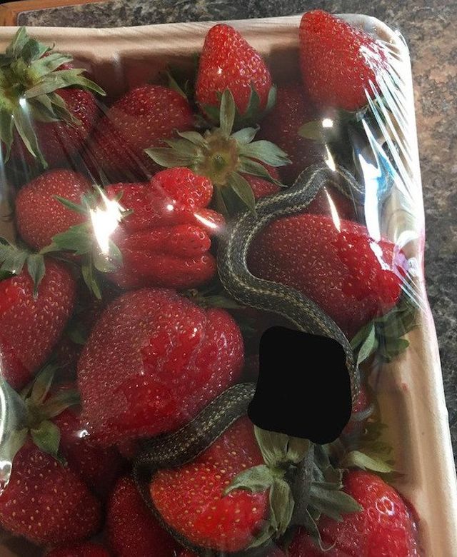 What Is Going On Here? (32 pics)