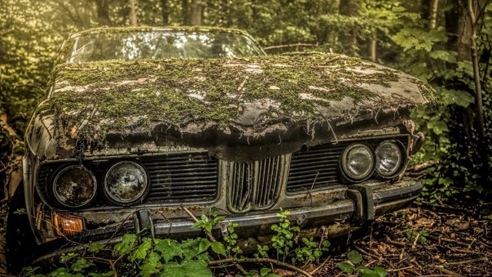 Amazing Abandoned Cars (25 pics)