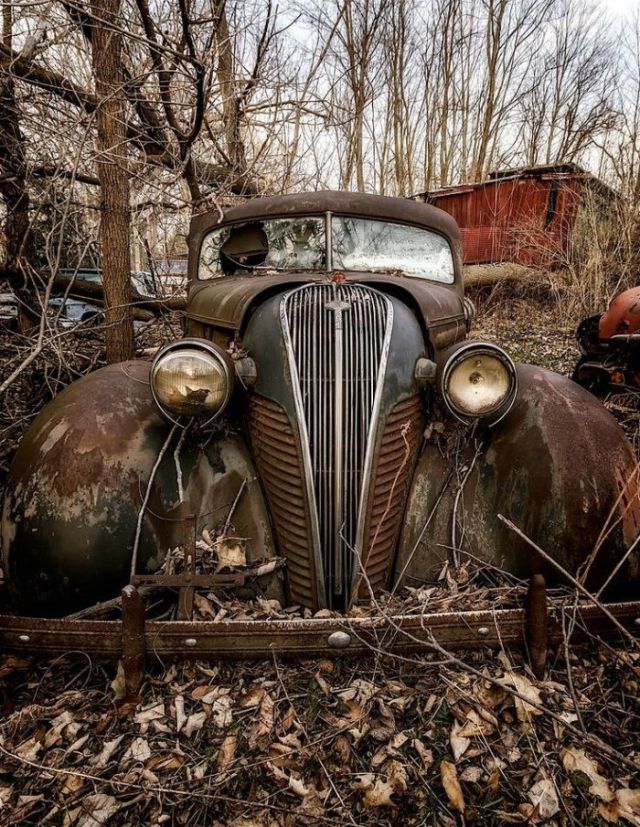 Amazing Abandoned Cars (25 pics)