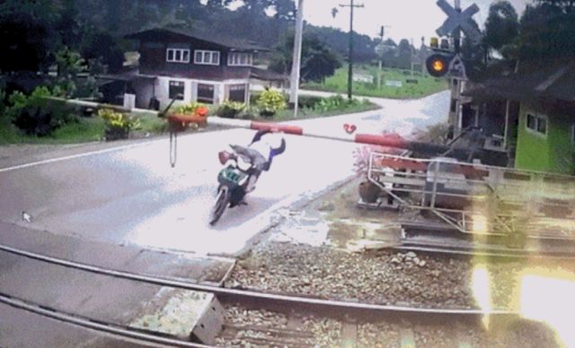 Acid GIFs, August 5 (25 gifs)