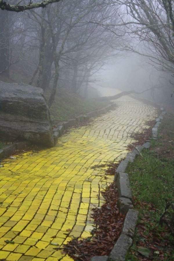 Abandoned Places (22 pics)