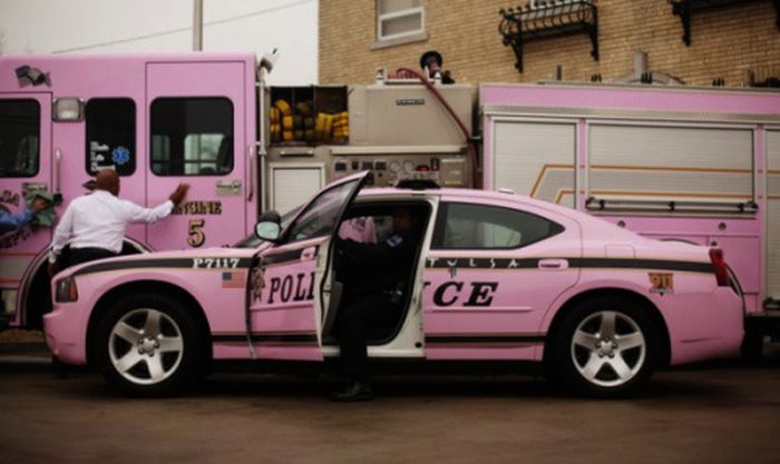 Crazy Cars (27 pics)
