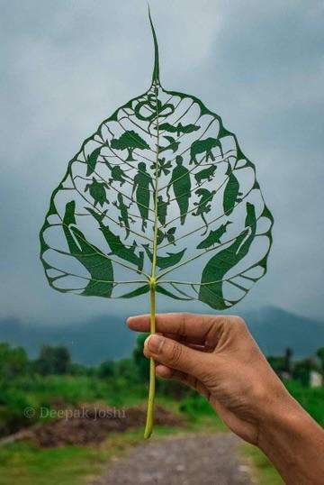 Photos For Perfectionists (22 pics)