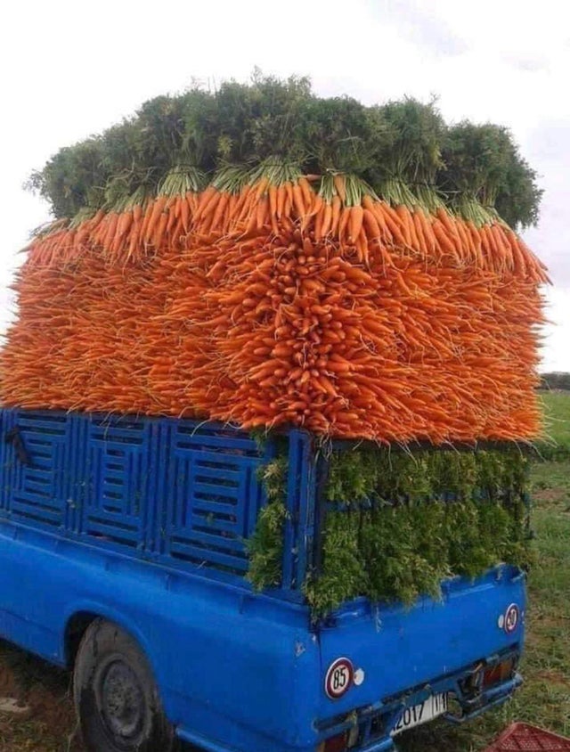 Photos For Perfectionists (22 pics)