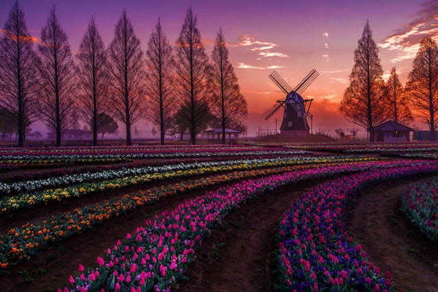 Photos For Perfectionists (22 pics)