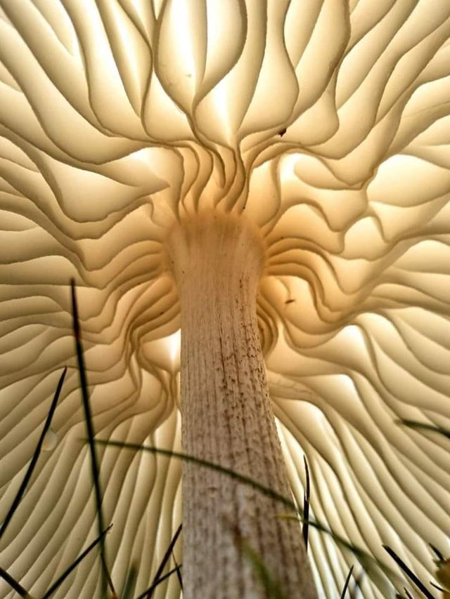 Photos For Perfectionists (22 pics)