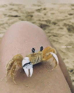 Acid GIFs, August 9 (25 gifs)