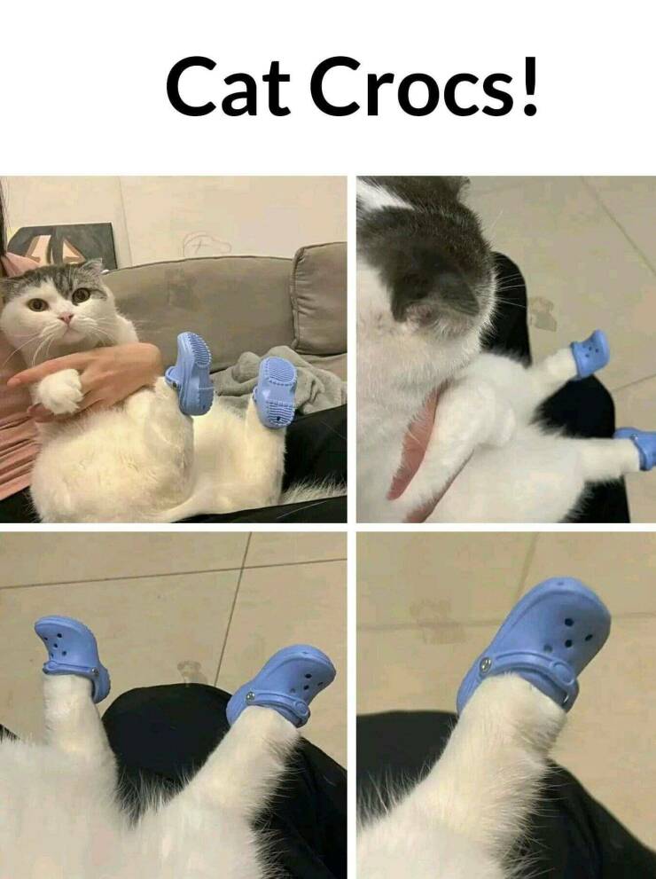 Daily Pictures. Part 2 (64 pics)