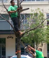 They Don't Think About Safety (15 pics)